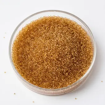 Gel Strong Acid Cation (SAC) resin beads in a laboratory petri dish