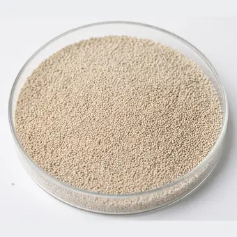 Macroporous Strong Acid Cation resin beads in a laboratory petri dish