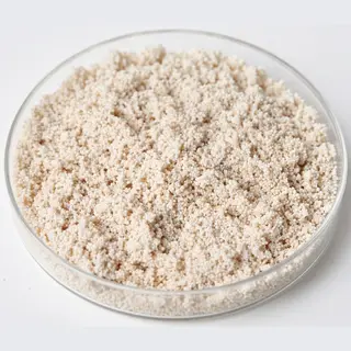 Macroporous Weak Base Anion resin beads in a laboratory petri dish