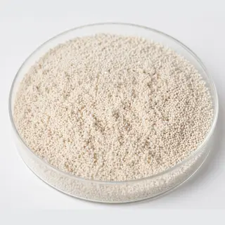 Acrylic Weak Acid Cation (WAC) resin beads in a laboratory petri dish